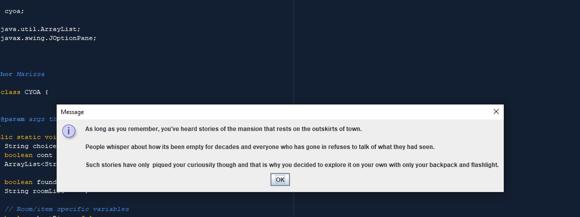 beginning text of the choose your own adventure game.